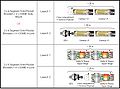 Thumbnail for version as of 17:35, 7 July 2010